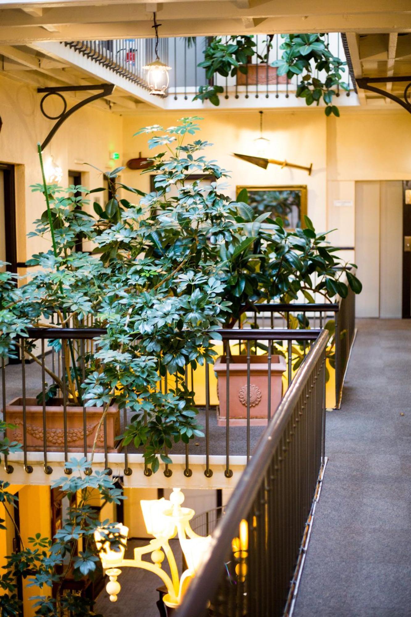 Grand Hotel D'Orleans Тулуза Екстер'єр фото